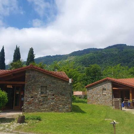 Chalets A 10 Minutes De Foix Mercus-Garrabet Zewnętrze zdjęcie